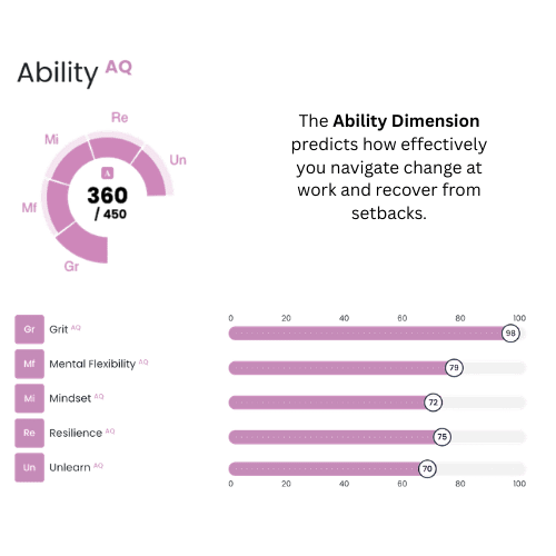 An infographic titled Character AQ, which describes the personality traits that influence how an individual navigates change. Main Visual: A teal radar chart at the top left illustrates the balance between five traits: Er, Ex, Ho, Ms, and Ts. Definition: Text states the Character Dimension "measures the core elements of your personality & how you navigate change". Trait Sliders: Five horizontal scales show specific personality leanings: Emotional Range (Er): Positioned heavily toward Collected (away from Reactive). Extraversion (Ex): Positioned in the center, balanced between Introverted and Extraverted. Hope (Ho): Positioned at the far right end for Hopeful (away from Doubtful). Motivation Style (Ms): Positioned toward Play 'To Win' (away from Play 'To Protect'). Thinking Style (Ts): Positioned at the far right end for Big Picture (away from Details).
