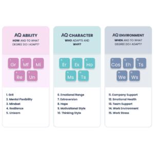 Adaptability Assessments