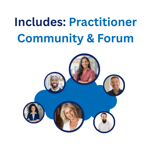 Everything DiSC® on Catalyst™ Practitioner Experience - Image 3