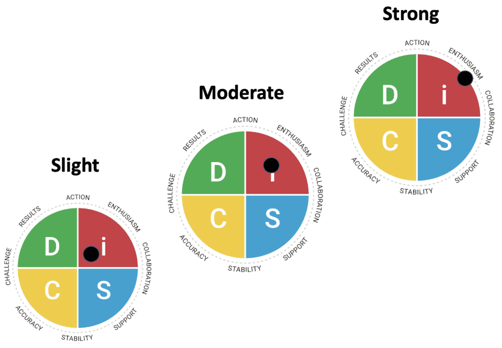 Everything DiSC Style Inclination