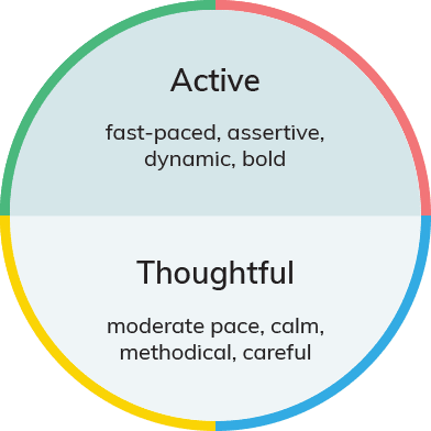 Everything DiSC assessment - pace